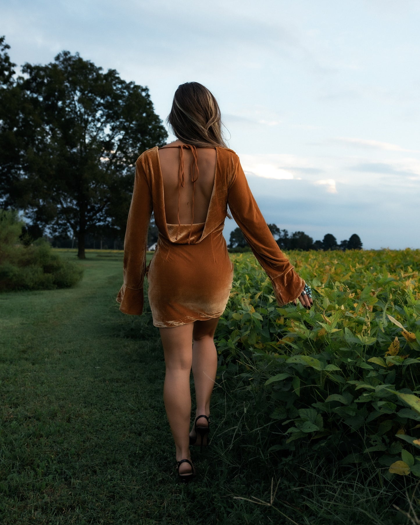 The Golden Hour Dress
