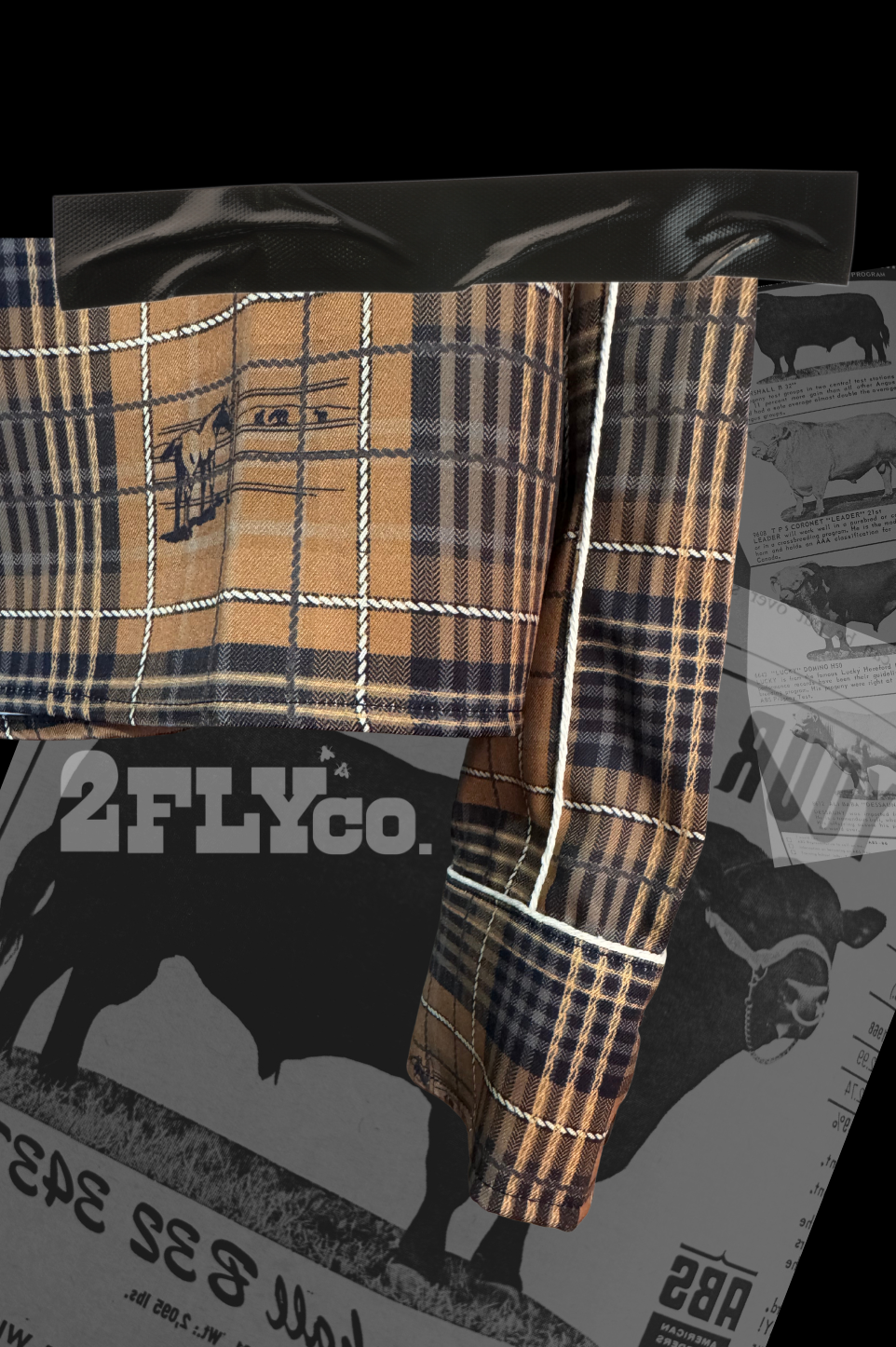 PLAID ROUNDUP Button Down